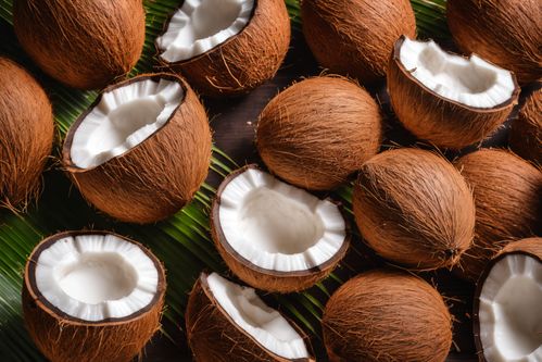 食物食品椰肉可口果實(shí)椰子攝影圖圖片 攝影圖 下載至來源處