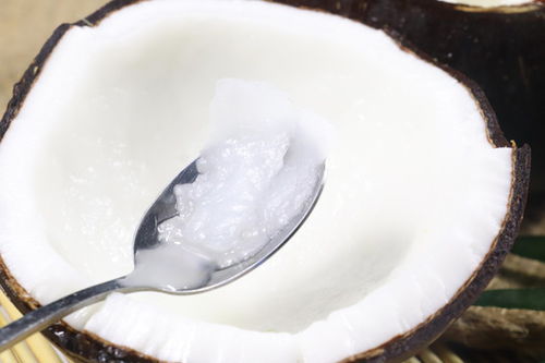 椰子圖片素材下載 食品餐飲素材下的蔬菜水果圖片素材